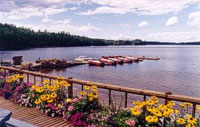view of dock with boats